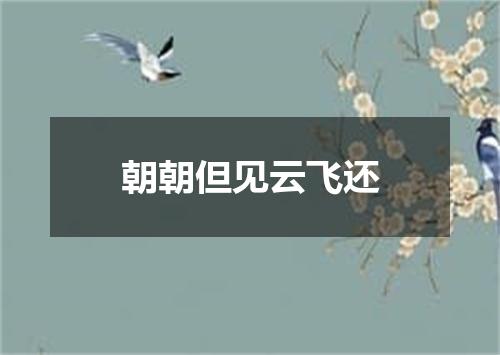 朝朝但见云飞还