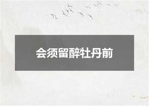 会须留醉牡丹前
