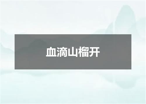 血滴山榴开