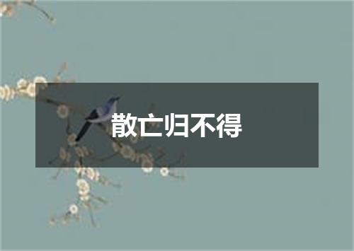 散亡归不得