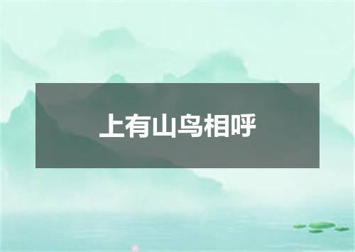 上有山鸟相呼