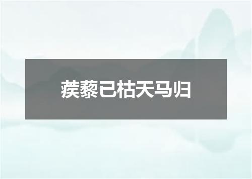 蒺藜已枯天马归
