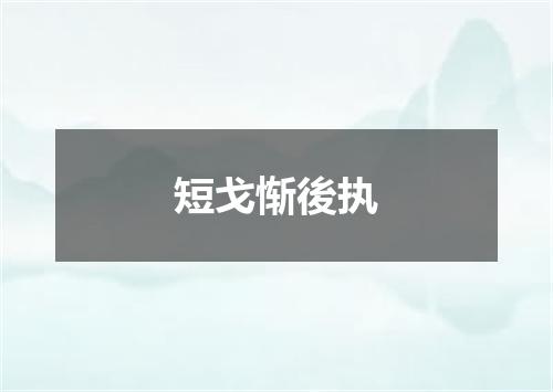 短戈惭後执