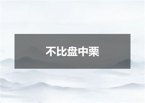 不比盘中栗