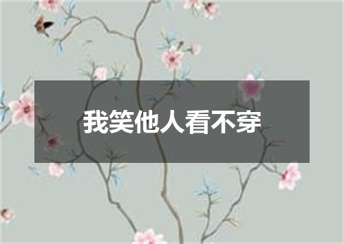我笑他人看不穿