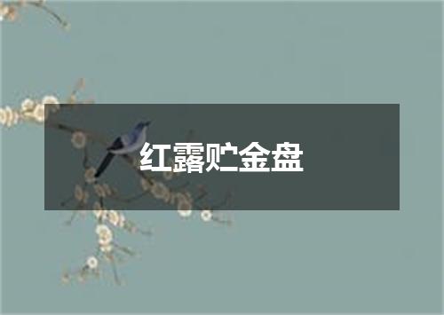 红露贮金盘