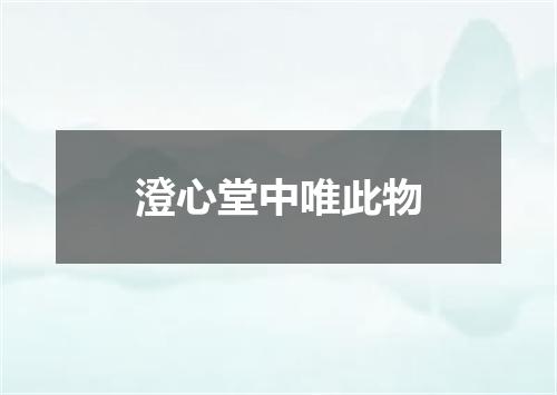 澄心堂中唯此物