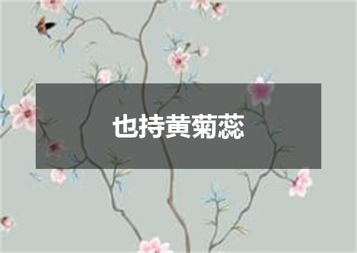 也持黄菊蕊