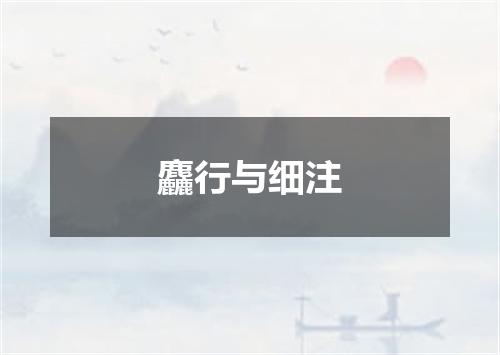 麤行与细注