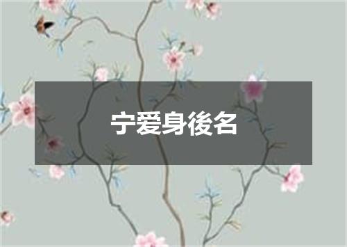 宁爱身後名