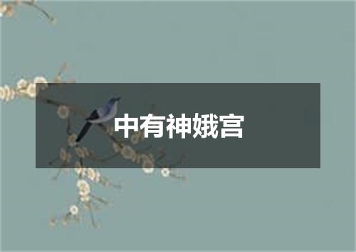 中有神娥宫