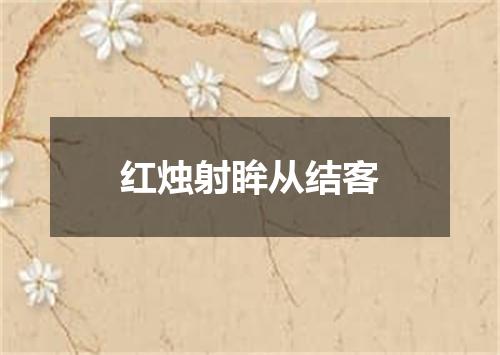 红烛射眸从结客