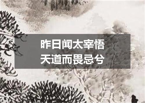 昨日闻太宰悟天道而畏忌兮