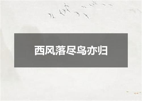 西风落尽鸟亦归