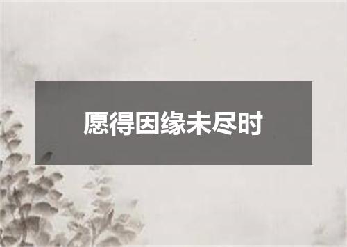 愿得因缘未尽时