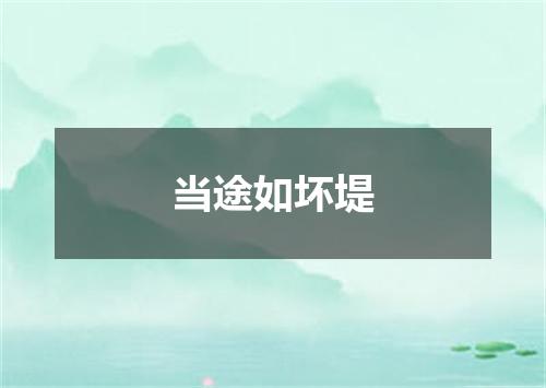 当途如坏堤