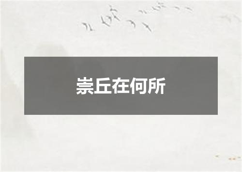 崇丘在何所