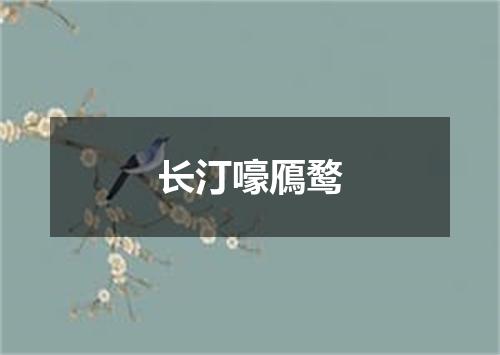 长汀嚎鴈鹜
