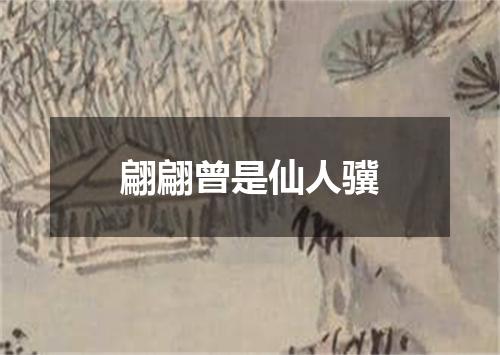 翩翩曾是仙人骥