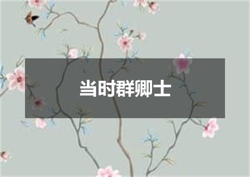 当时群卿士