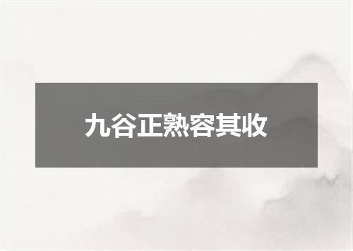 九谷正熟容其收