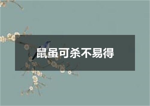 鼠虽可杀不易得