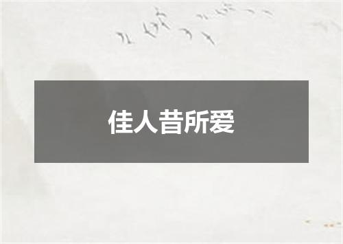 佳人昔所爱
