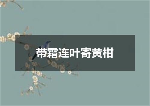 带霜连叶寄黄柑