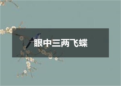 眼中三两飞蝶