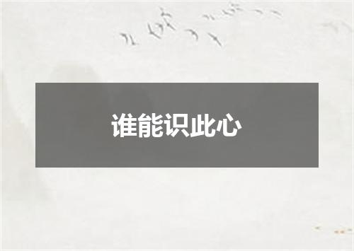 谁能识此心