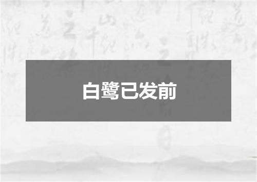 白鹭已发前