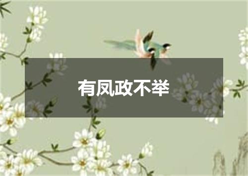 有凤政不举