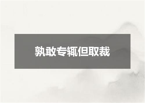 孰敢专辄但取裁