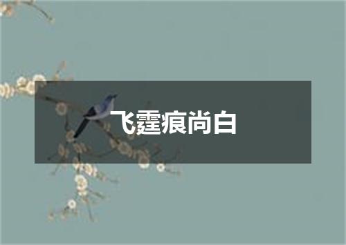 飞霆痕尚白