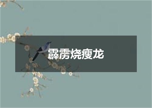 霹雳烧瘦龙