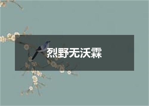 烈野无沃霖