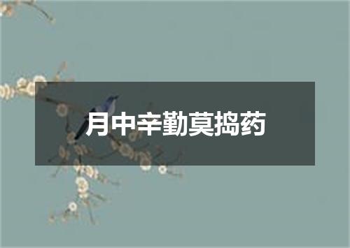 月中辛勤莫捣药
