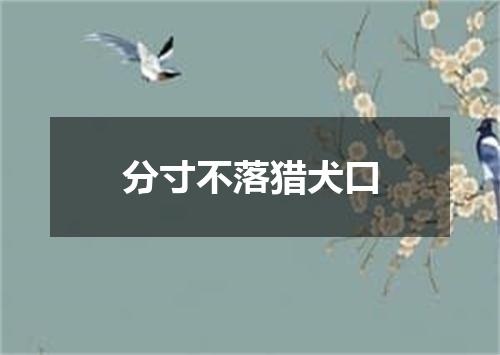 分寸不落猎犬口