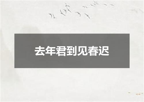 去年君到见春迟