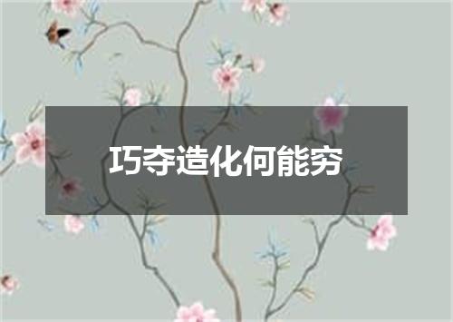 巧夺造化何能穷