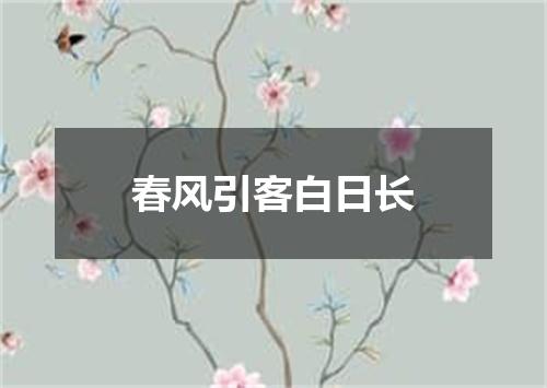 春风引客白日长