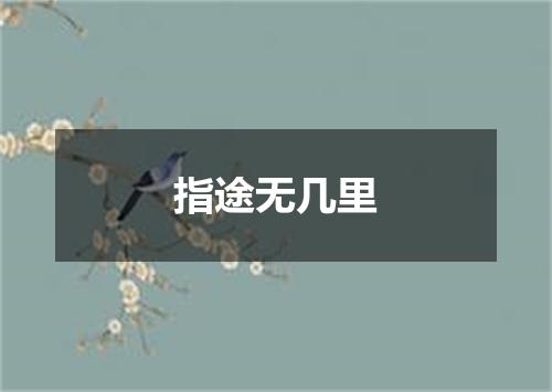指途无几里