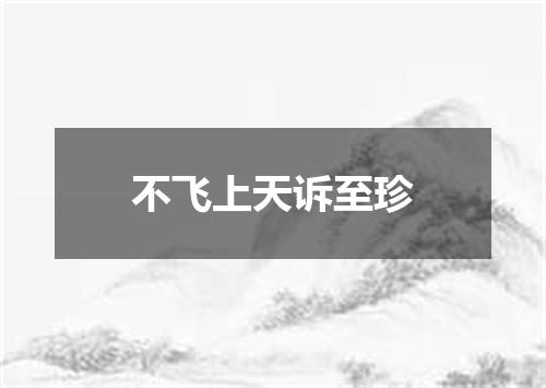 不飞上天诉至珍