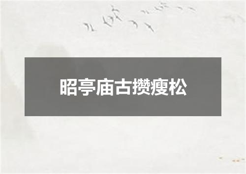 昭亭庙古攒瘦松
