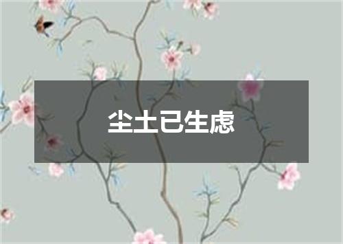 尘土已生虑