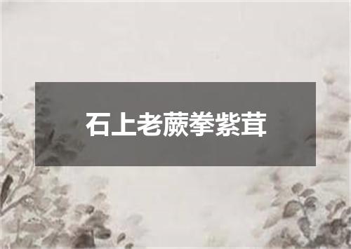 石上老蕨拳紫茸