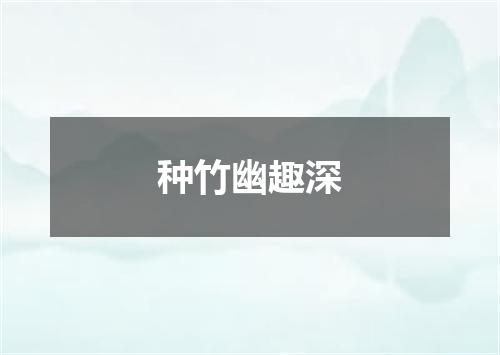种竹幽趣深