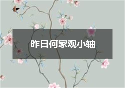 昨日何家观小轴