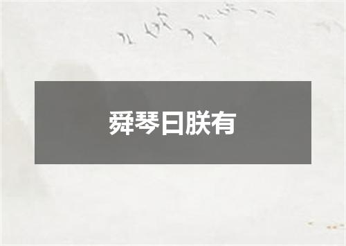 舜琴曰朕有