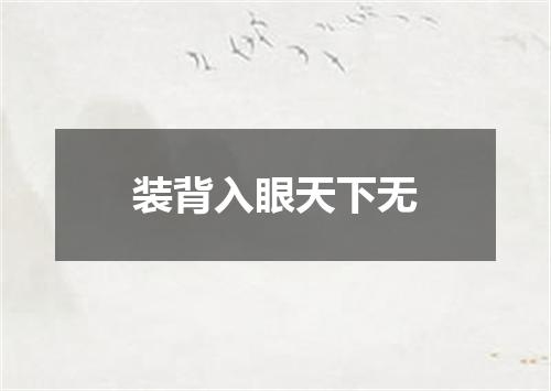 装背入眼天下无